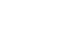 spark icon